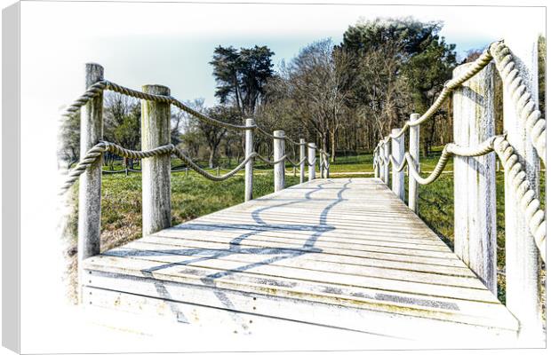 Crossing the Bridge to the trees beyond Canvas Print by Ian Johnston  LRPS