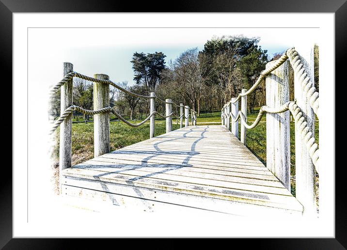 Crossing the Bridge to the trees beyond Framed Mounted Print by Ian Johnston  LRPS
