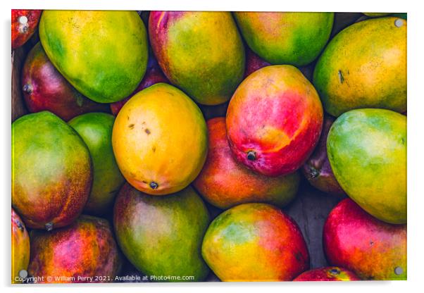 Yellow Red Orange Green Mangos Florida Acrylic by William Perry