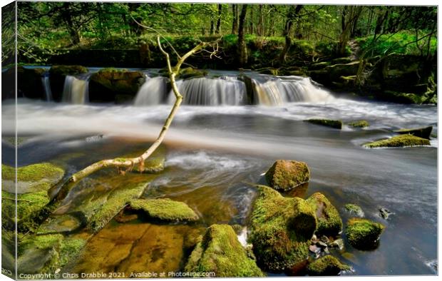 The waterfall at Yorkshire Bridge (9) Canvas Print by Chris Drabble