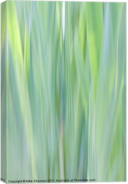 Reeds Canvas Print by Mike Sherman Photog