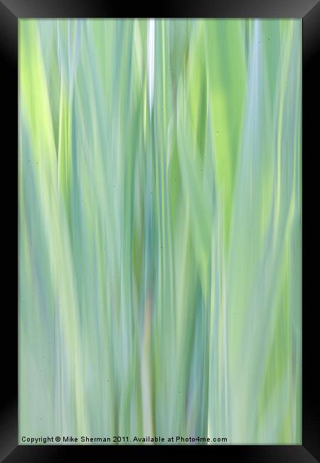 Reeds Framed Print by Mike Sherman Photog