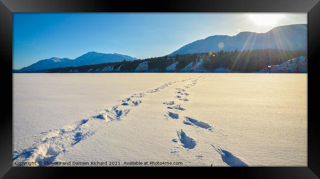 Foot prints in the snow, winter mountain landscape Framed Print by Shawna and Damien Richard