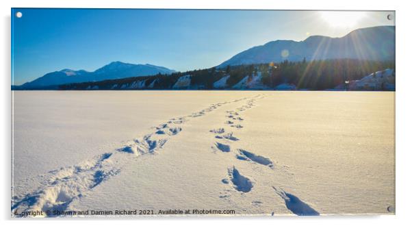 Foot prints in the snow, winter mountain landscape Acrylic by Shawna and Damien Richard