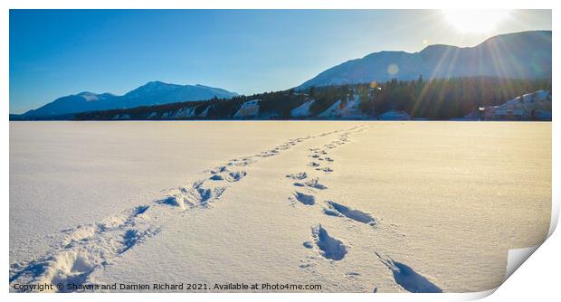 Foot prints in the snow, winter mountain landscape Print by Shawna and Damien Richard