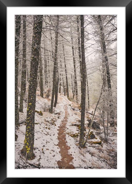 Winter Hiking Trekking trail in winter Framed Mounted Print by Shawna and Damien Richard