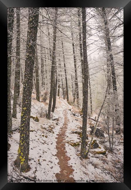 Winter Hiking Trekking trail in winter Framed Print by Shawna and Damien Richard