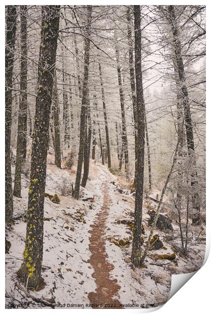 Winter Hiking Trekking trail in winter Print by Shawna and Damien Richard