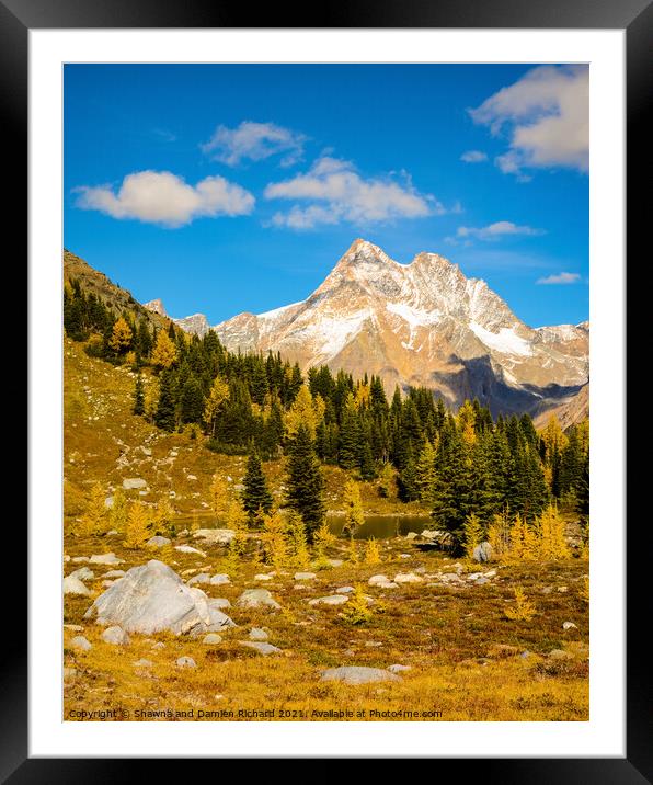 Fall Larch Mountain Landscape Framed Mounted Print by Shawna and Damien Richard