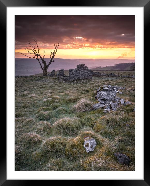 Cow Low Sunrise Framed Mounted Print by Paul Andrews