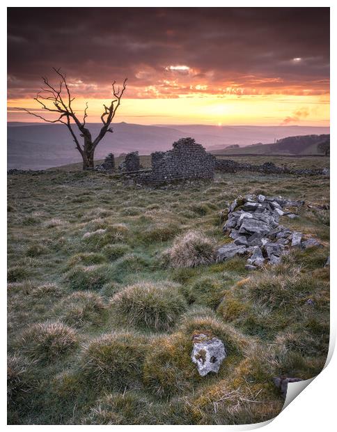 Cow Low Sunrise Print by Paul Andrews