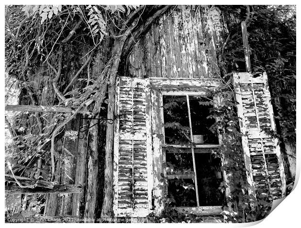 Overgrown Shed and Window Print by John Chase