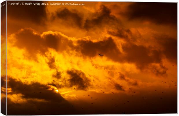 Flying into the sunset Canvas Print by Ralph Greig