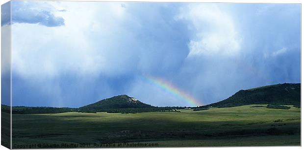 After The Storm Canvas Print by Sharon Pfeiffer