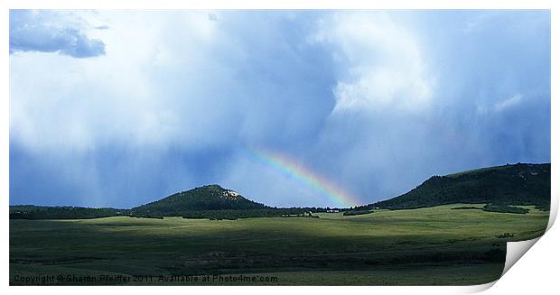 After The Storm Print by Sharon Pfeiffer