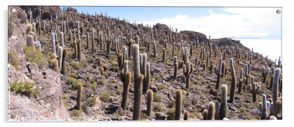 Giant Cactus, Salar de Uyuni, Bolivia Acrylic by Imladris 