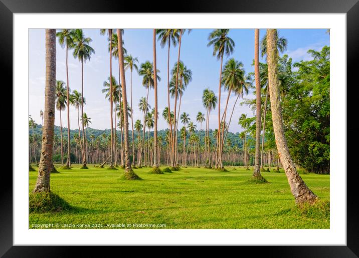 Manicured lawn with coconut trees - Espiritu Santo Framed Mounted Print by Laszlo Konya