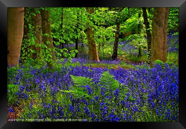 Deep in the Bluebell Wood Framed Print by Martyn Arnold