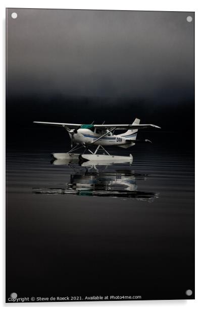 Plane Sailing 2 Acrylic by Steve de Roeck