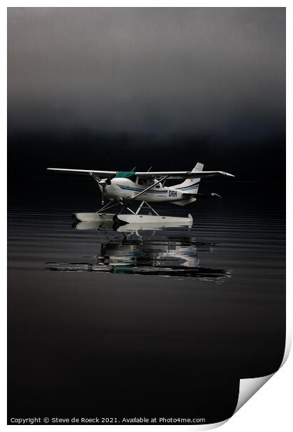 Plane Sailing 2 Print by Steve de Roeck