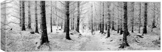 Frosty forest black and white Canvas Print by Sonny Ryse
