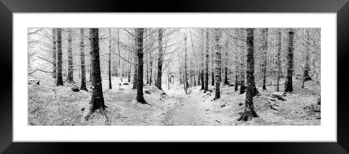 Frosty forest black and white Framed Mounted Print by Sonny Ryse