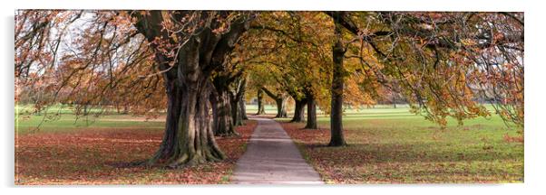 Harrogate stray in Autumn Acrylic by Sonny Ryse