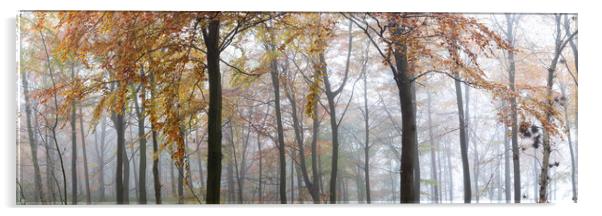 Misty Autumn woodland in Yorkshire Acrylic by Sonny Ryse