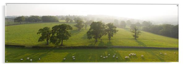 Nidderdale farm sheep Acrylic by Sonny Ryse