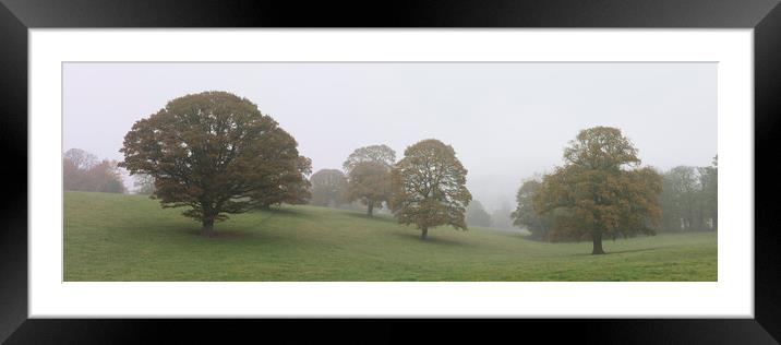 Nidderdale rolling fields Yorkshire Framed Mounted Print by Sonny Ryse