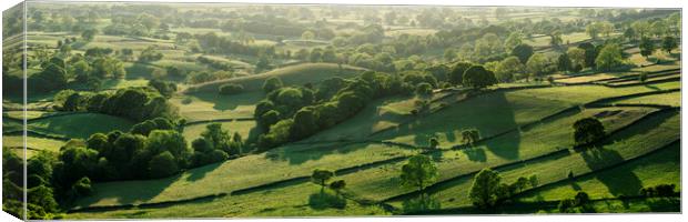 Nidderdale Yorkshire dales washburn valley Canvas Print by Sonny Ryse