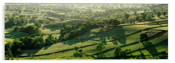 Nidderdale Yorkshire dales washburn valley Acrylic by Sonny Ryse