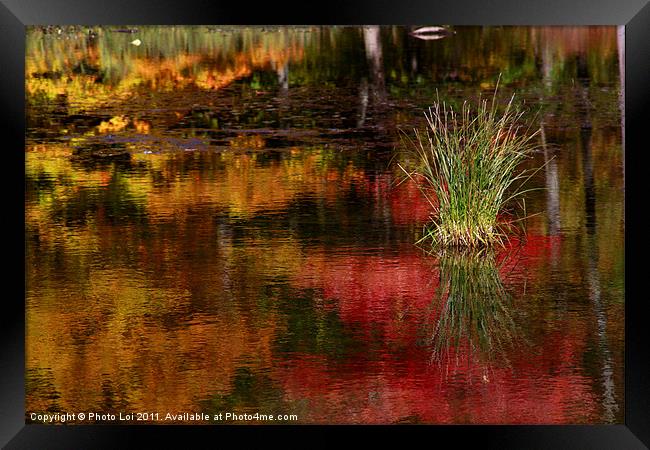 Harriman Lake Framed Print by Photo Loi