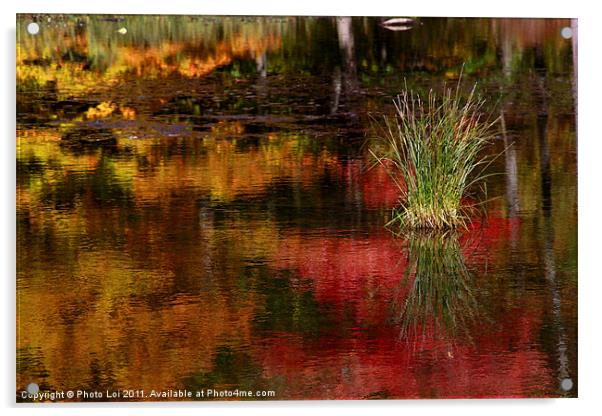Harriman Lake Acrylic by Photo Loi