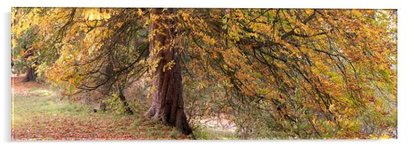 Yorkshire Autumn tree Acrylic by Sonny Ryse