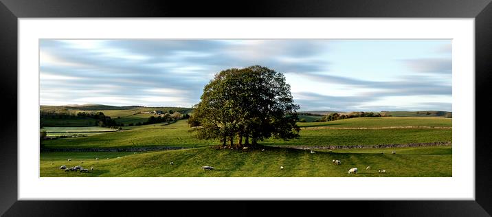 Yorkshire dales farm Framed Mounted Print by Sonny Ryse