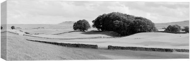 Yorkshire Dales Wensleydale Fields black and white Canvas Print by Sonny Ryse