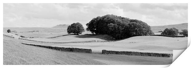Yorkshire Dales Wensleydale Fields black and white Print by Sonny Ryse