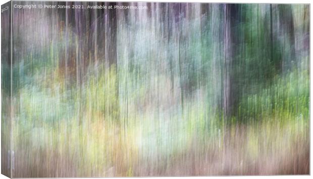 Woodland Impression Canvas Print by Peter Jones