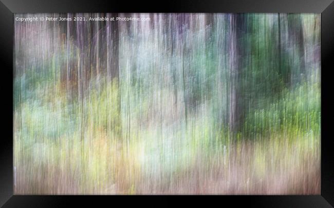 Woodland Impression Framed Print by Peter Jones