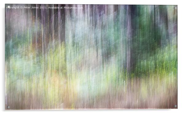 Woodland Impression Acrylic by Peter Jones