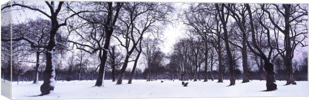 Hyde Park in Winter London Canvas Print by Sonny Ryse