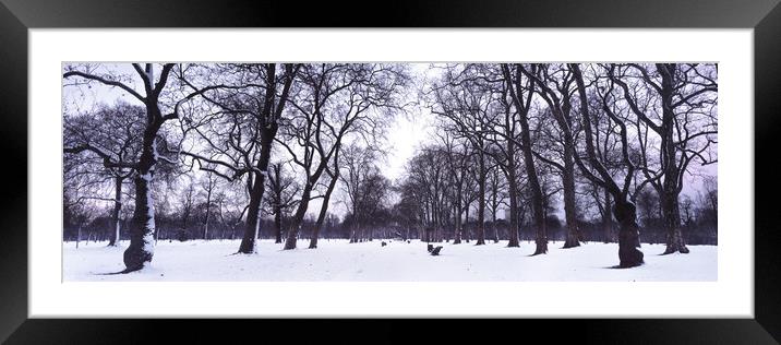 Hyde Park in Winter London Framed Mounted Print by Sonny Ryse