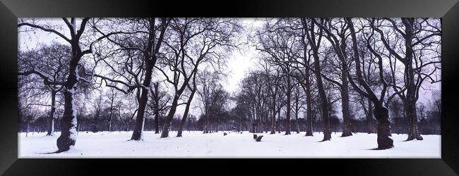 Hyde Park in Winter London Framed Print by Sonny Ryse