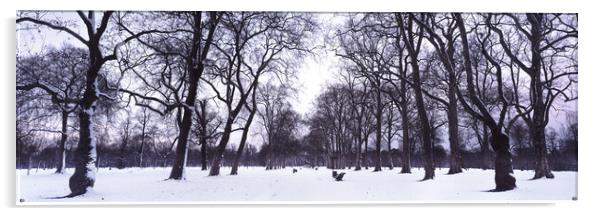 Hyde Park in Winter London Acrylic by Sonny Ryse