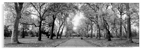 Hyde PArk London Black and white Acrylic by Sonny Ryse