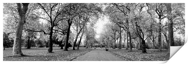 Hyde PArk London Black and white Print by Sonny Ryse