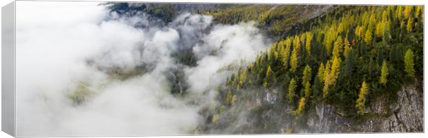 Alpine Forest mist Canvas Print by Sonny Ryse