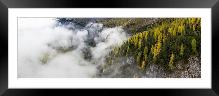 Alpine Forest mist Framed Mounted Print by Sonny Ryse