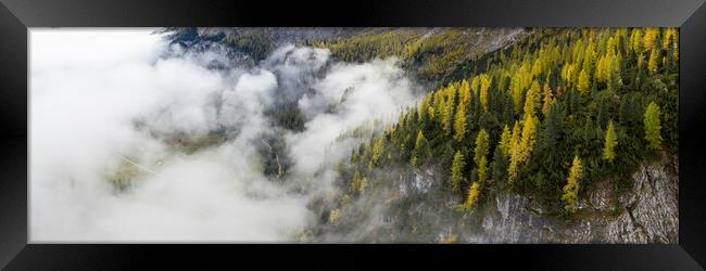 Alpine Forest mist Framed Print by Sonny Ryse